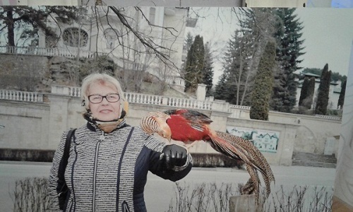 Светлана Салайкина