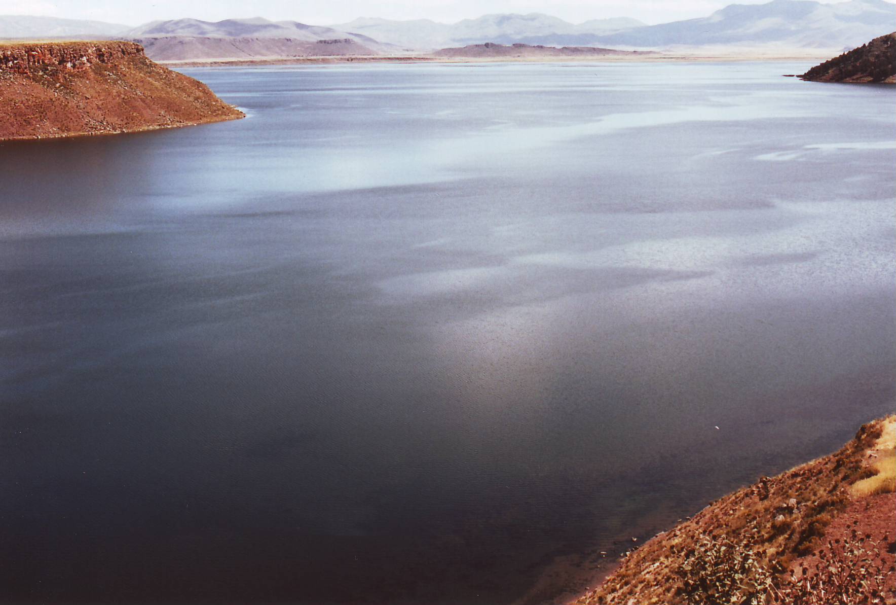 Евгений Саяпин 2