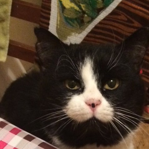 ���� �������������