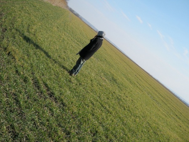 ��������� ���������