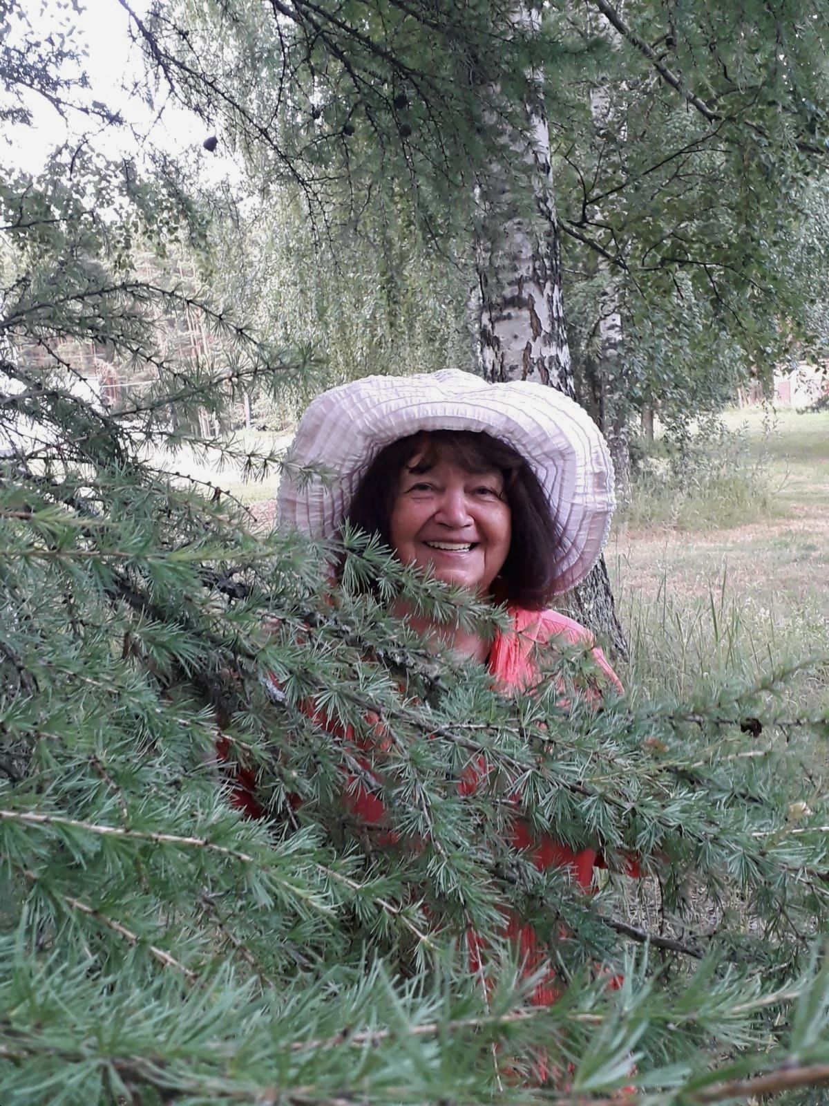 ��������� ����