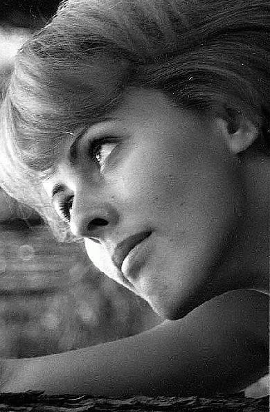 ���� ������