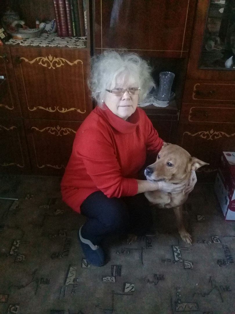 ������ ��������