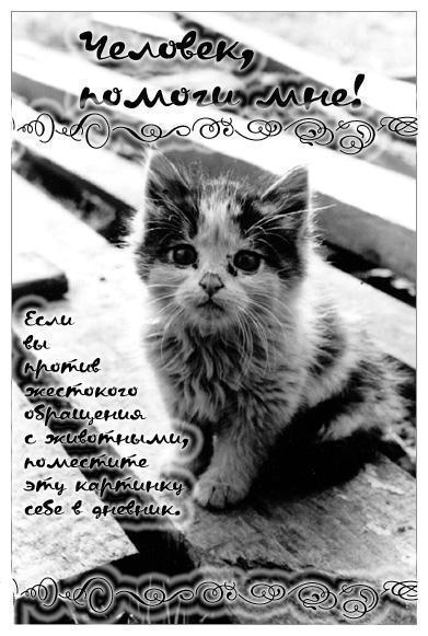 Анатолий Шаршуев