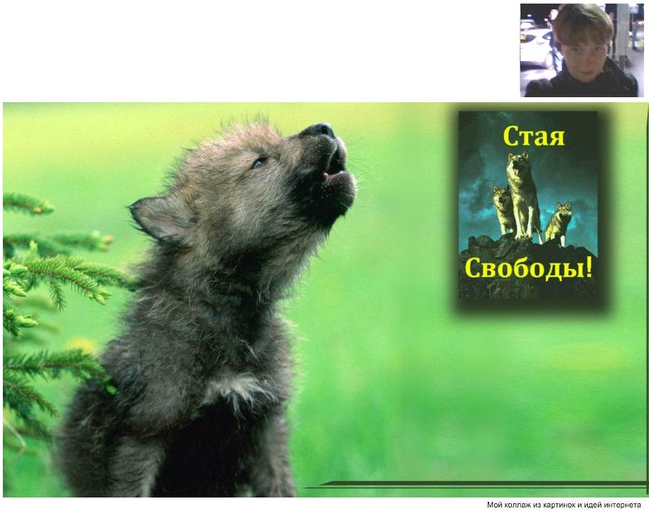 ���� ��������� 8