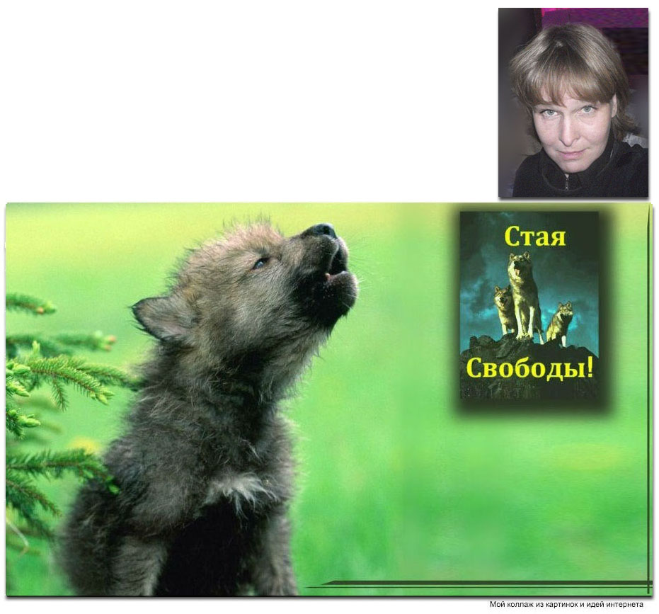 Алла Тангейзер 9