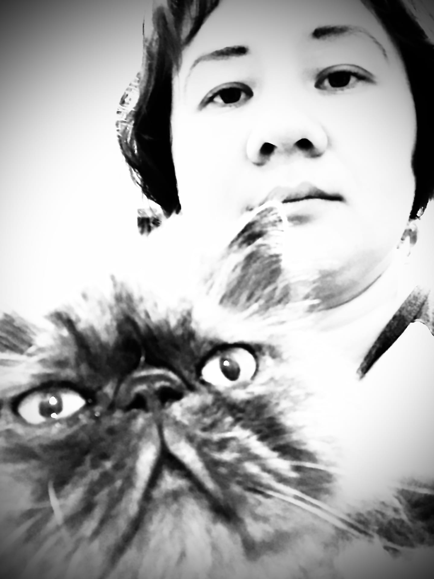 ������� ���������