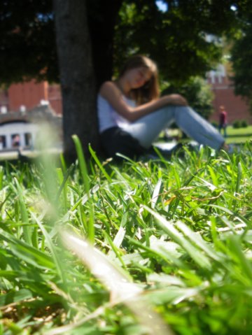 ���� ������