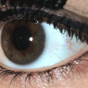 ��������� ����