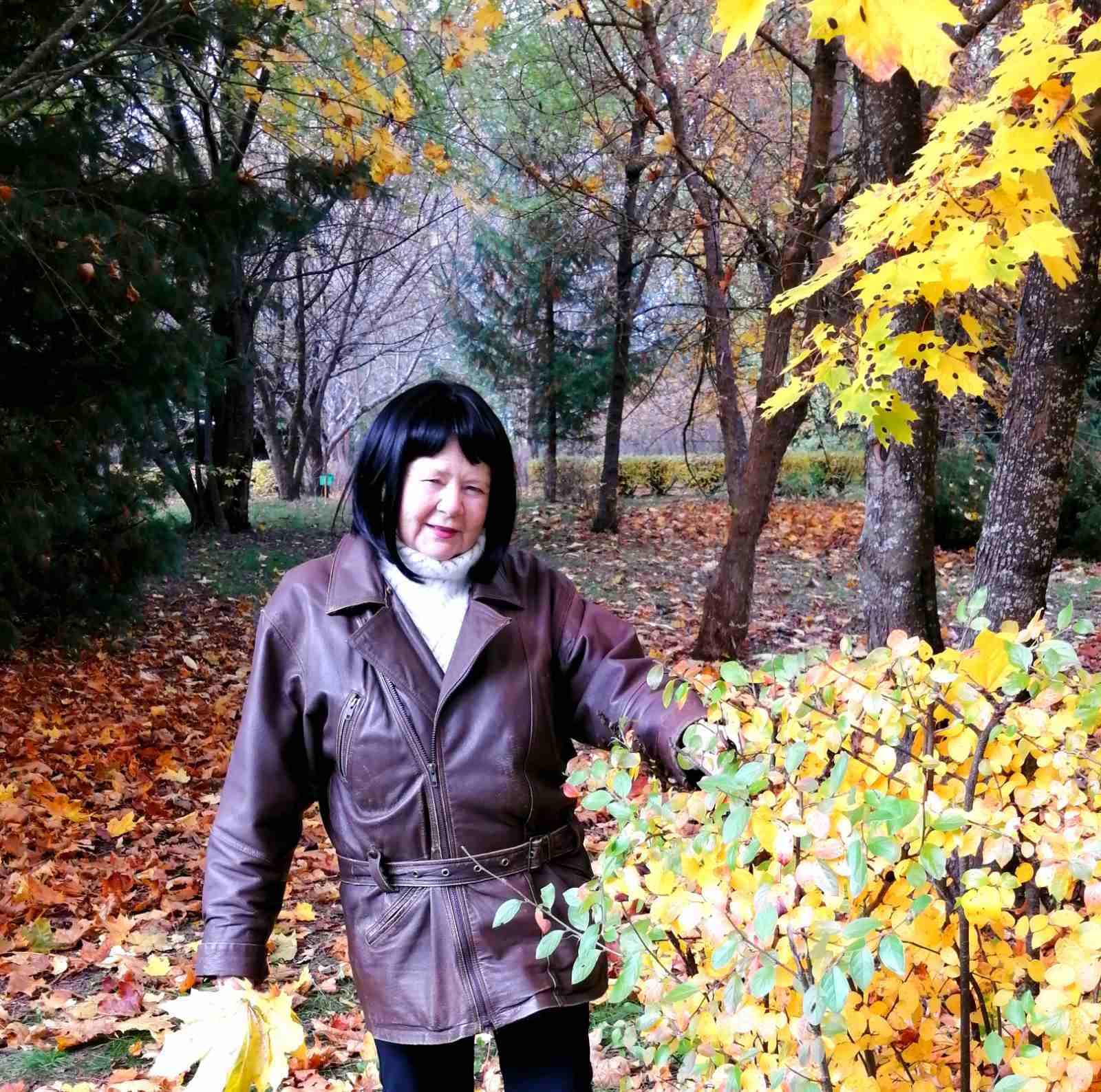 ������ �������