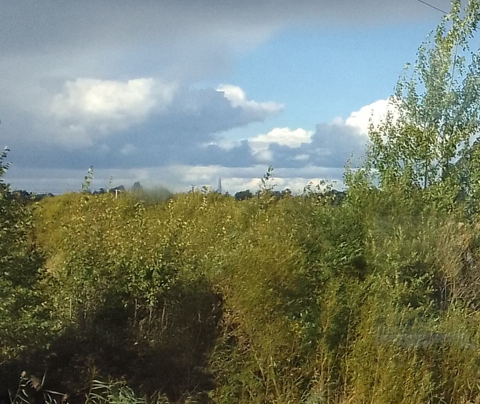 ������� ���������