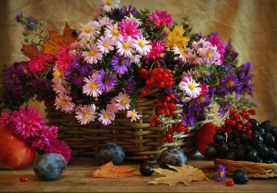 ������� �������