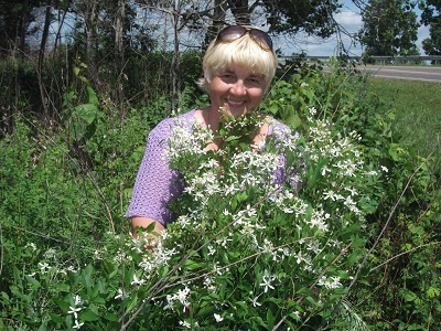 ������� ��������