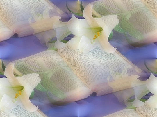 ������� ������