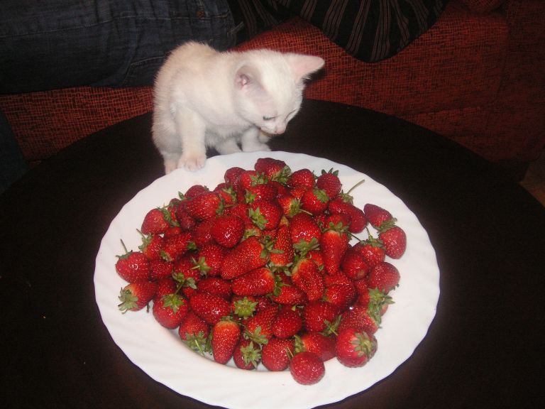 ���� ����