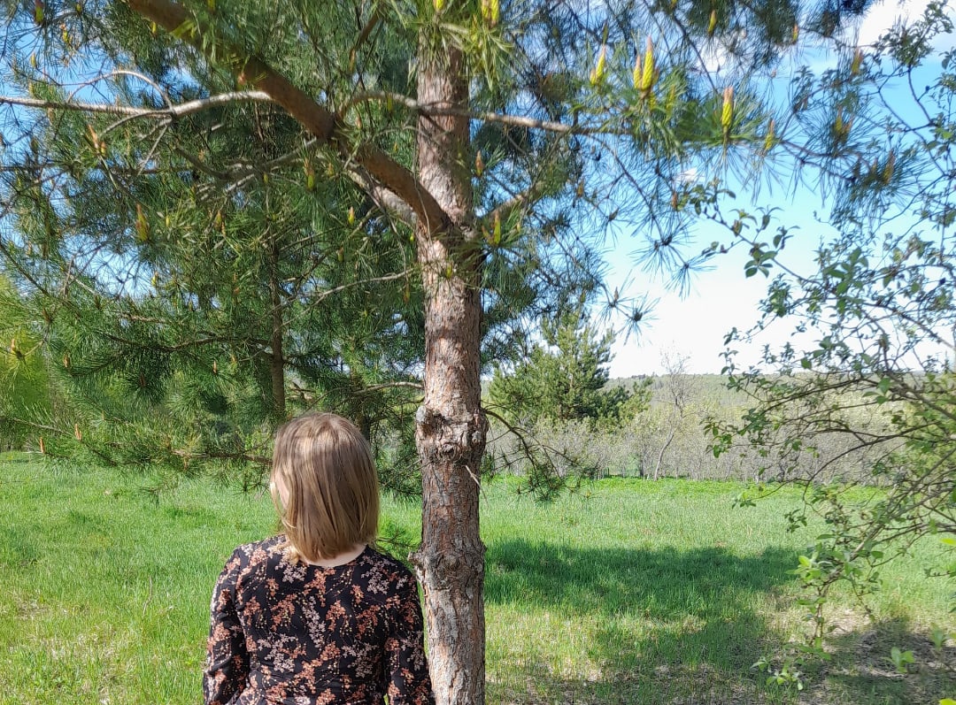 ������� ��������