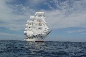 ���� ����