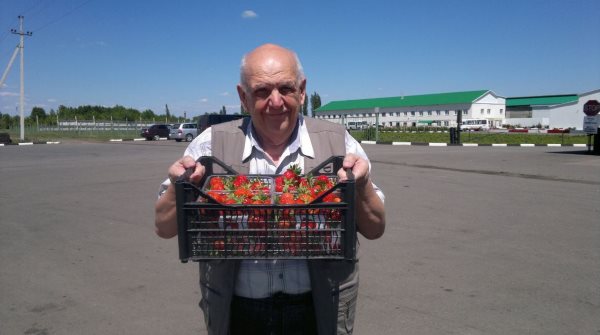 ���� �����