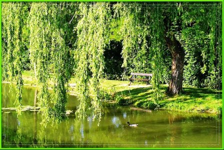 Полина Манаева