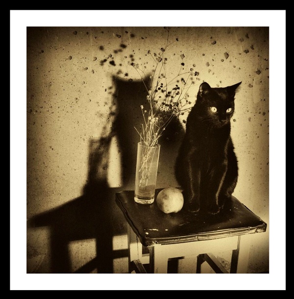 ���� ������ �����