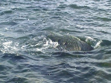 Сергей Минский