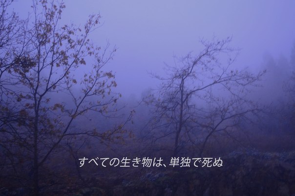 ��� �����