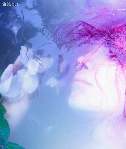 ������������ ���������