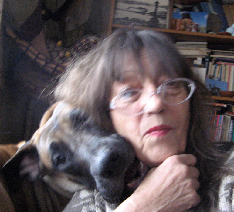 ����� �������54