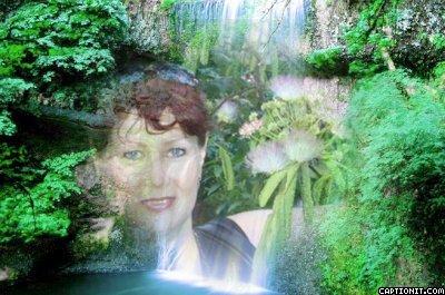 ����� �������