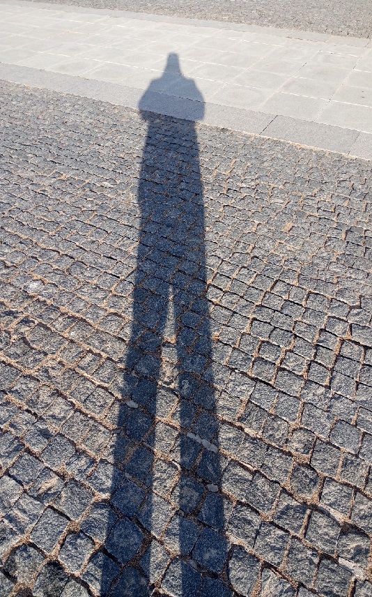 Максимилиан Чужак