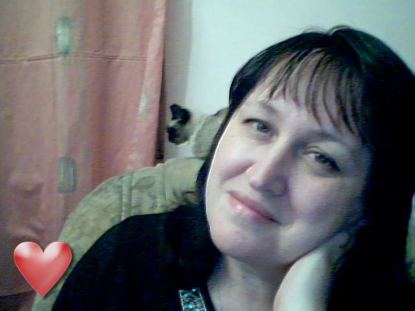 ���� ������