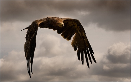 ��������� ������� 7