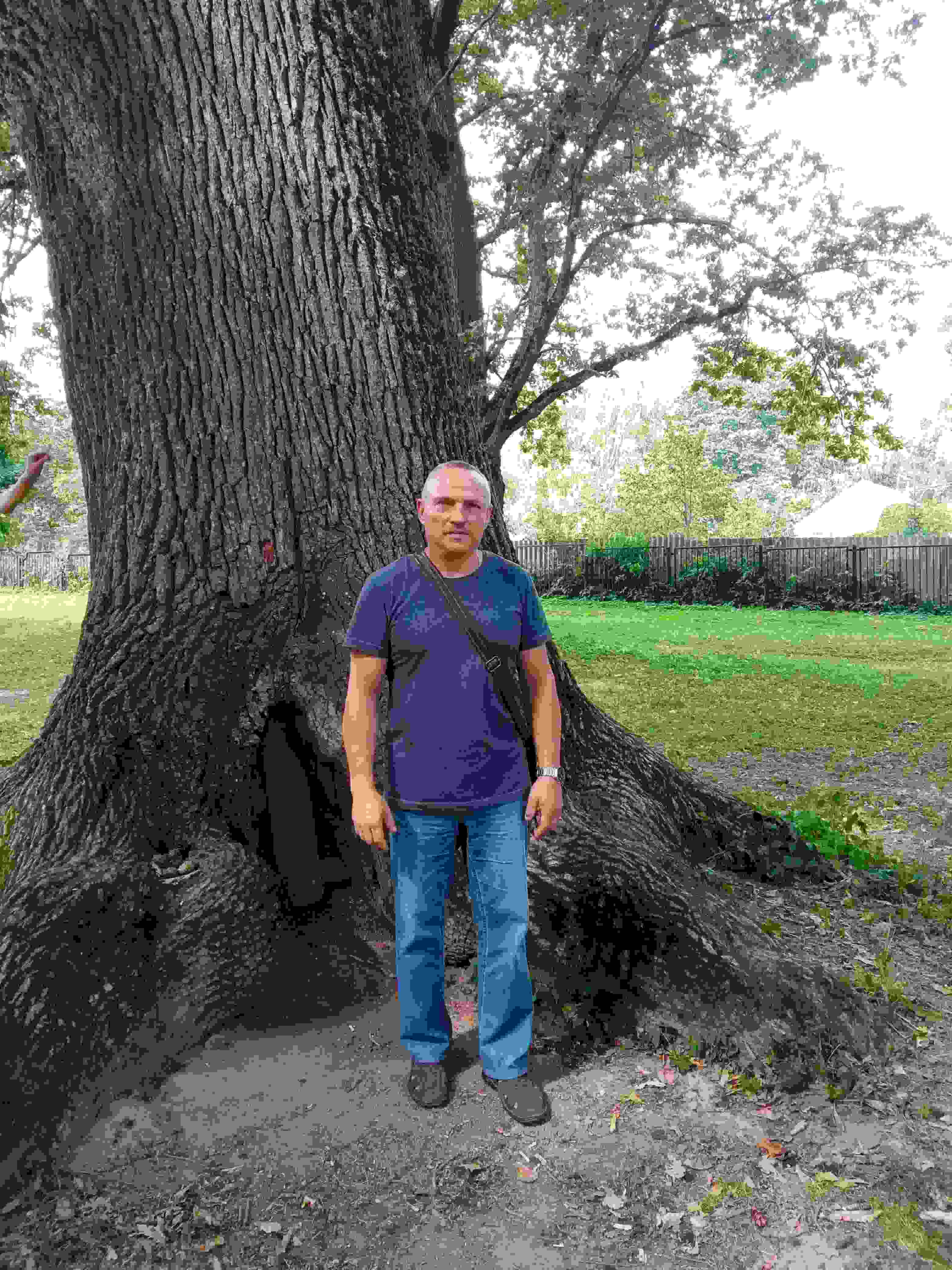 ������� ������ ����������