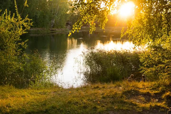 ���������� �����