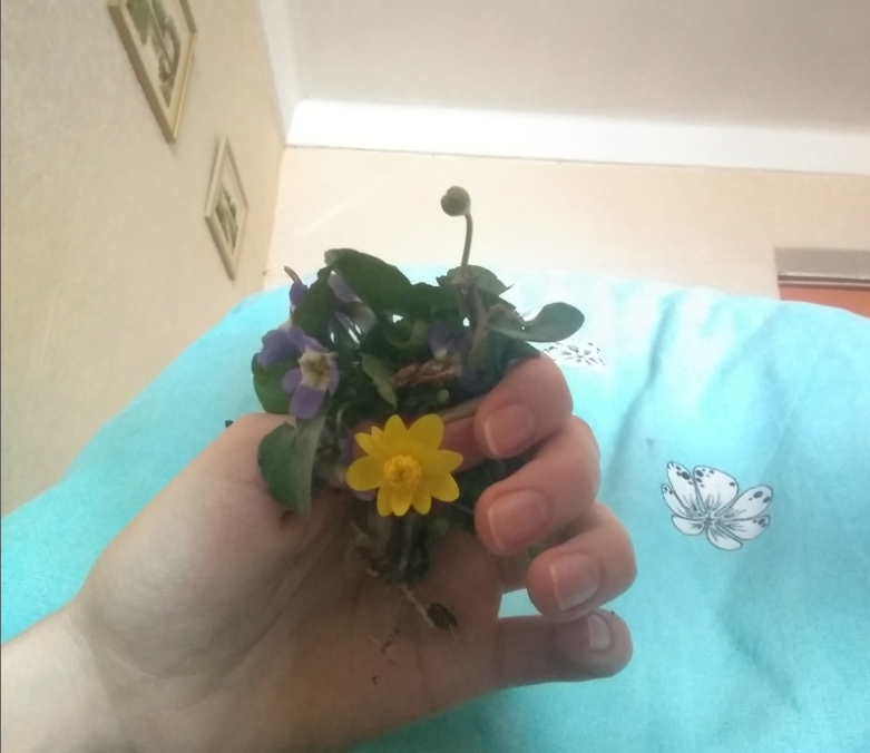 ����� ���� 2