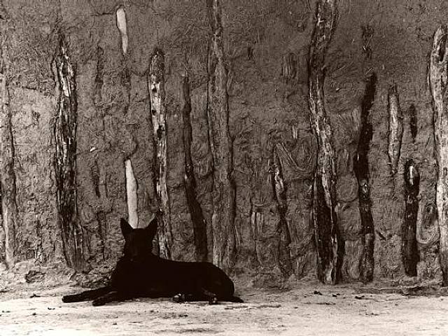 ������ ���