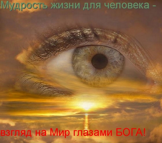 �������� �����