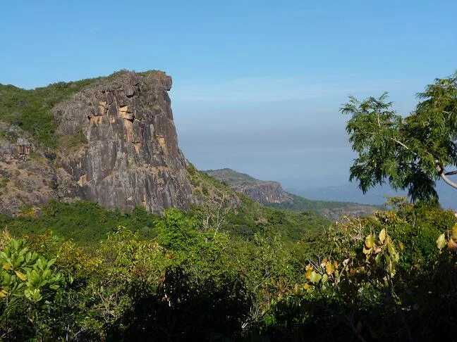 ���� ����