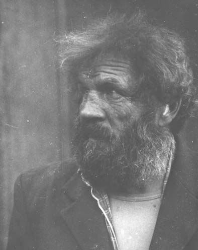 Черепах Тортилло