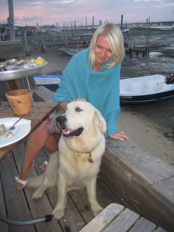 �������� �������