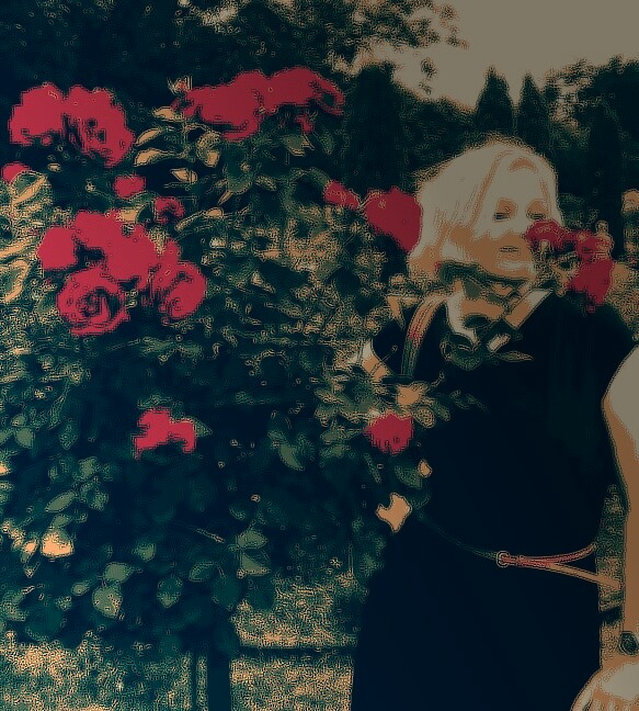 ��� �������