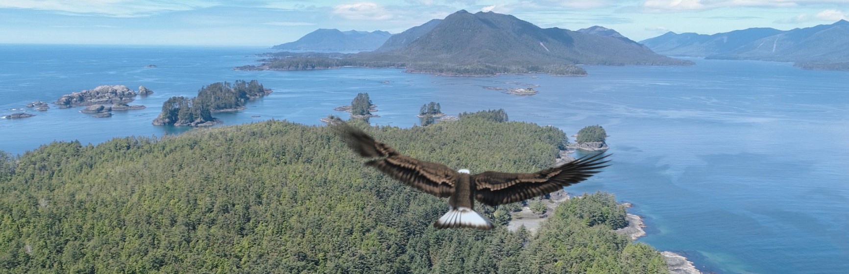 ������ �����