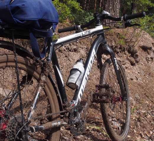 ������ ������