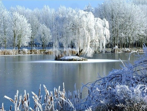 Аля Трофимова