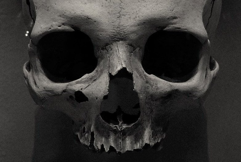 ���� �������