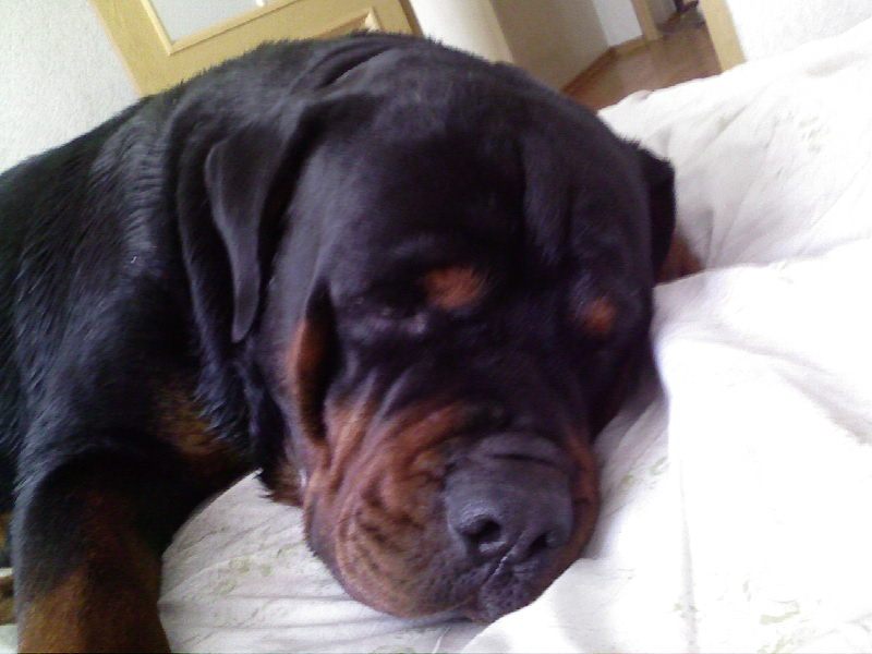 ��������� �������