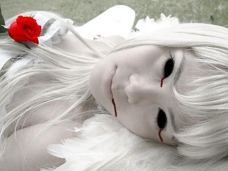 ���� ���������