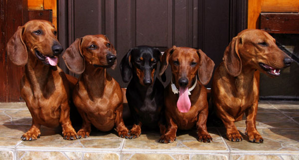 ����� ����������