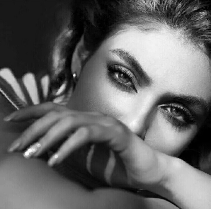 �������� ���������