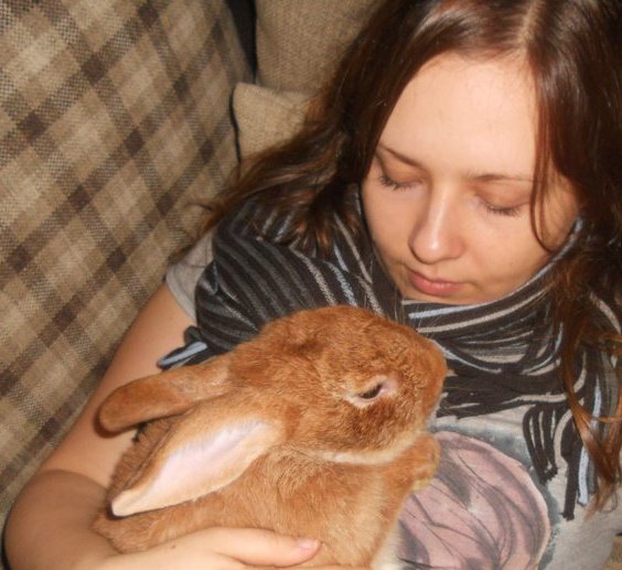 ��������� ������